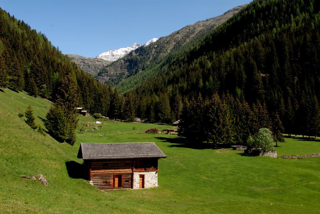 Alpen Hotel Rabbi Eksteriør billede